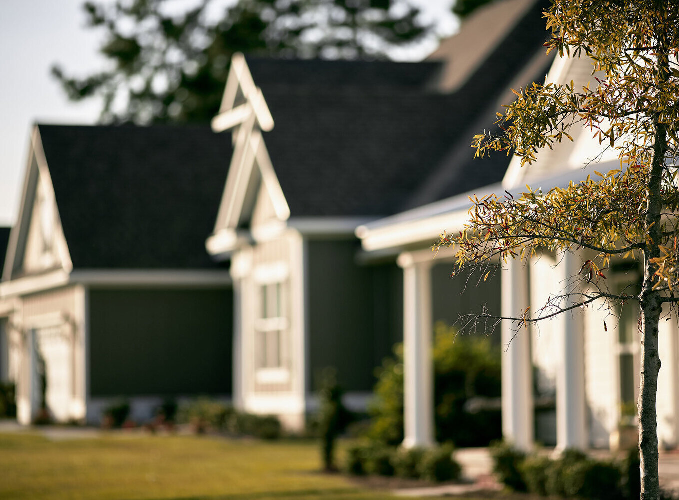 Описание изображения